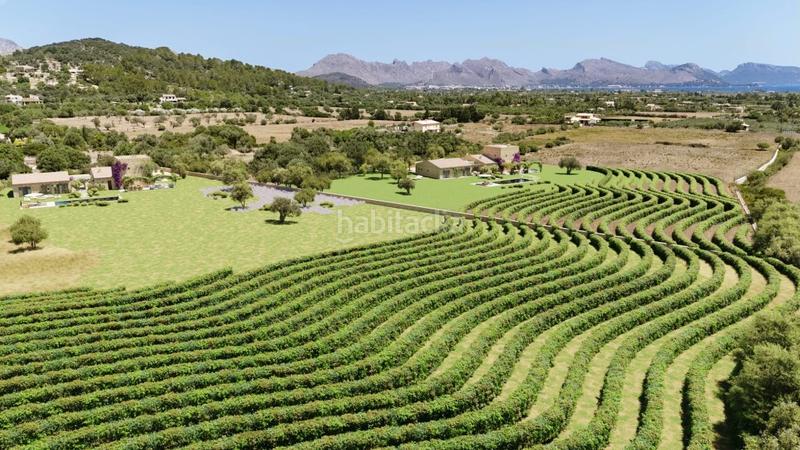 Foto 389671d8-b292-485b-b67a-ce0293879ed4. Fondo rustico in Pollença poble Pollença