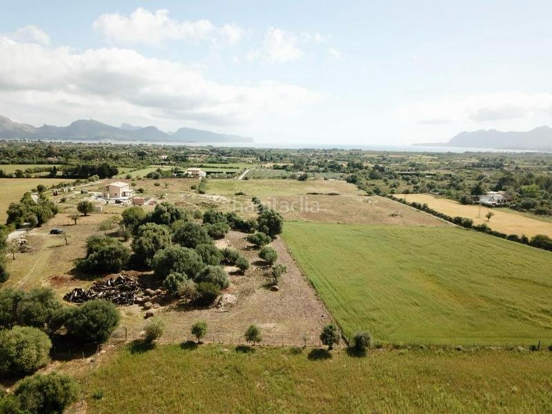Foto f8a10875-61cf-434c-857b-c54f51508741. Fondo rustico in Pollença poble Pollença