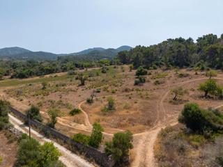 Finca rústica a Felanitx Poble. Parcela con proyecto en venta entre felanitx y cas concos, sures