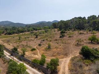 Rural plot in Felanitx Poble. Parcela con proyecto y licencia de construcción en venta entre f
