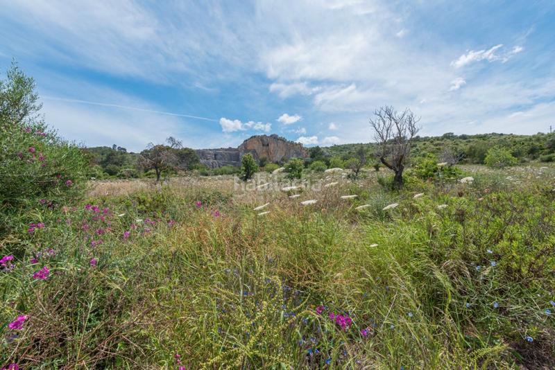 Foto 5665a54d-6347-48e9-8248-4d2818222f9a. Propriété dans ciutat d´Alcúdia Alcúdia