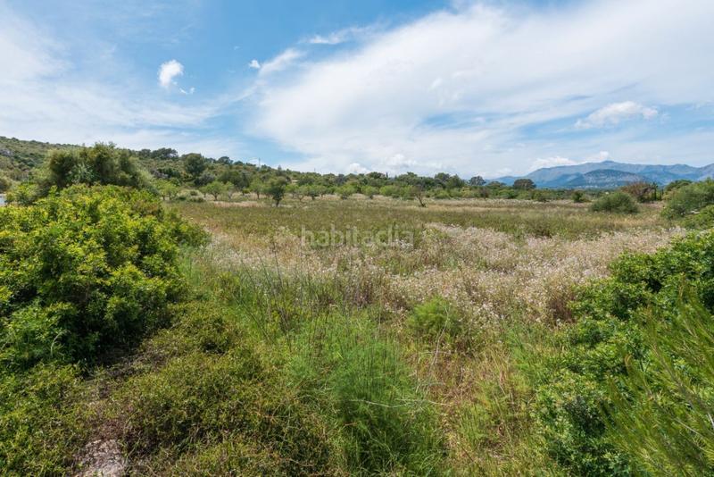 Foto 72b9533e-2291-4e8e-8b3f-67abaebfc212. Propriété dans ciutat d´Alcúdia Alcúdia