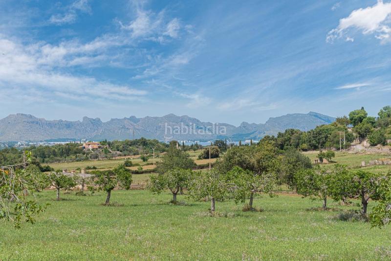 Foto 7da51a84-cb09-4b11-aae8-7cecb1af6d2f. Propriété dans ciutat d´Alcúdia Alcúdia