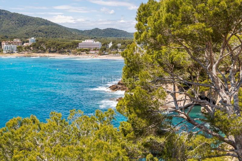 Foto 0d305014-d6b6-4e23-ab7e-f7960bd75e76. Appartement avec parking piscine dans Capdepera poble Capdepera