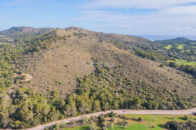 Foto e6a65eec-9a5c-4899-b9ba-1b36246ef0eb. Fondo rustico in Canyamel Capdepera