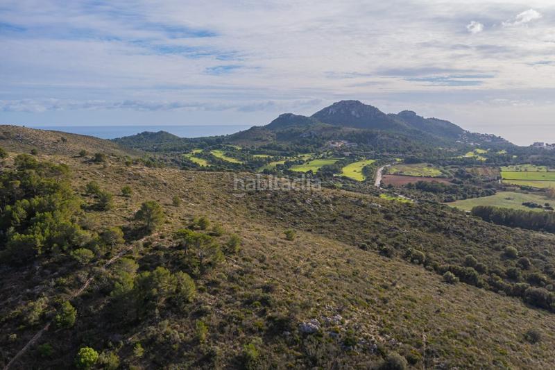Foto f324e404-4273-4b21-ac73-0feeb671b8df. Fondo rustico in Canyamel Capdepera