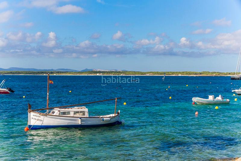 Foto 0d89ccc8-23e6-4fb4-bcbf-f77fef56f186. Fondo rustico in Ses Salines poble Ses Salines
