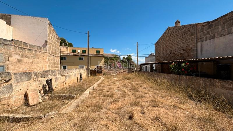 Foto 4cf42f6f-65af-456f-967f-f67118778ab0. Fondo rustico in Ses Salines poble Ses Salines