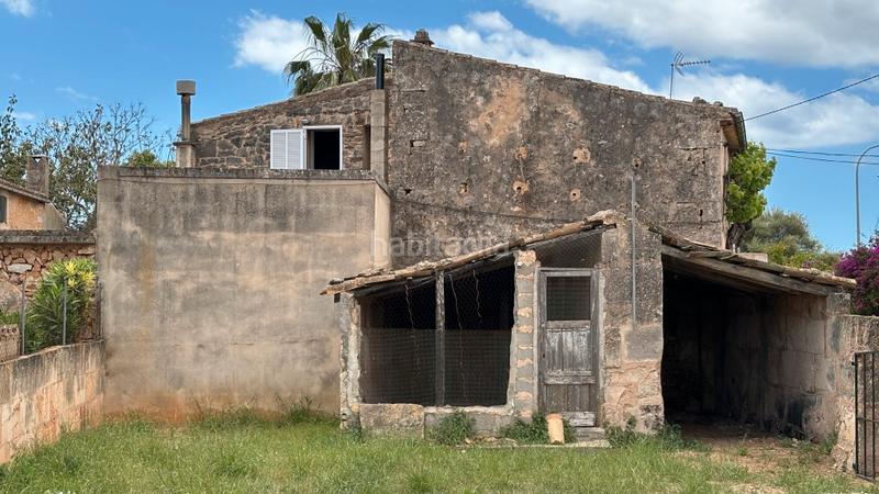 Foto 641c6812-9b3e-4b32-83dd-1ce1abd6c26b. Fondo rustico in Ses Salines poble Ses Salines