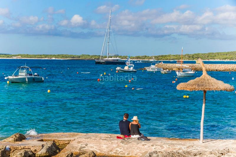 Foto cd517a80-65a8-45f3-a94c-d85962ecac3e. Fondo rustico in Ses Salines poble Ses Salines