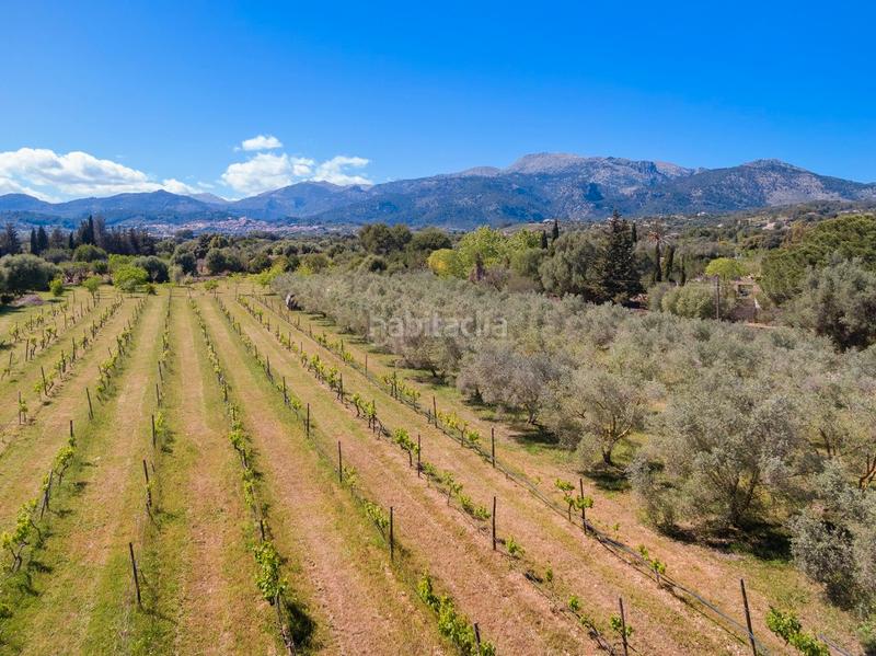 Foto 147a816b-bd03-414f-ab0c-8a53bc3d5305. Casale con riscaldamento parcheggio piscina in Selva