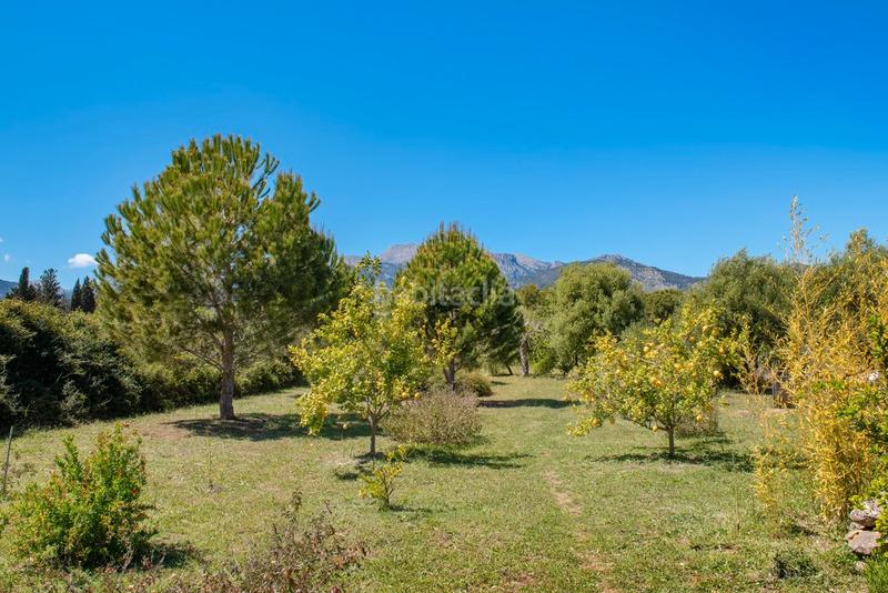 Foto 2ff16010-d3e7-43a4-aa42-930e498b3987. Casale con riscaldamento parcheggio piscina in Selva