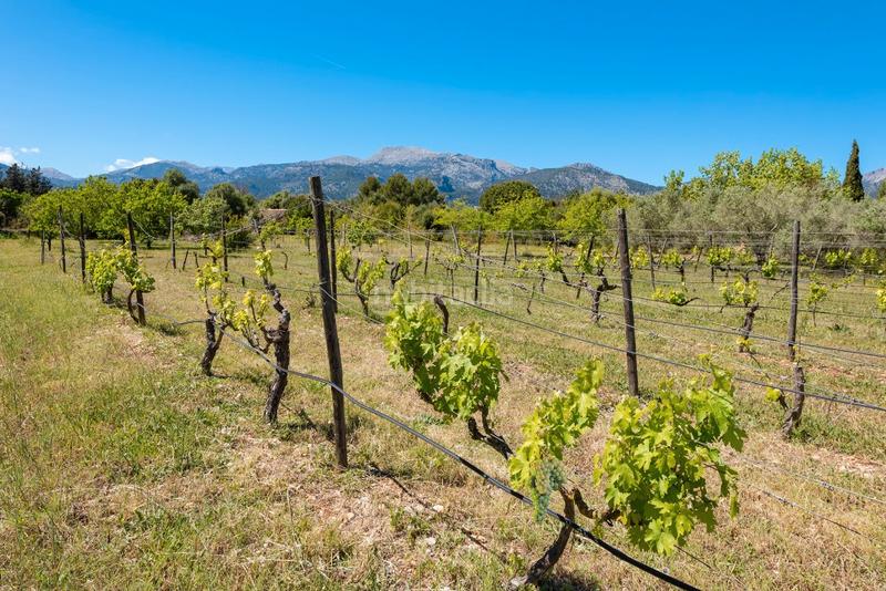 Foto f8713432-7b66-40ad-970f-ba33a44747ff. Casale con riscaldamento parcheggio piscina in Selva