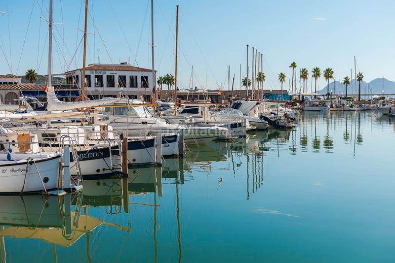 Foto 5dde6db7-2cfb-4066-a950-2e5310284af1. Piccolo appartamento in port de Pollença Pollença