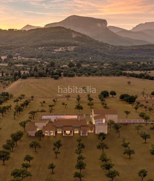 Foto 4da2e517-89e3-4c10-a353-92a7a406c9e3. Finca rústica a Binissalem