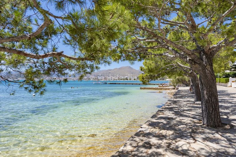 Foto 6390ada4-4411-490f-bd1e-ecd498c5ef44. Apartament amb aparcament piscina a port de Pollença Pollença