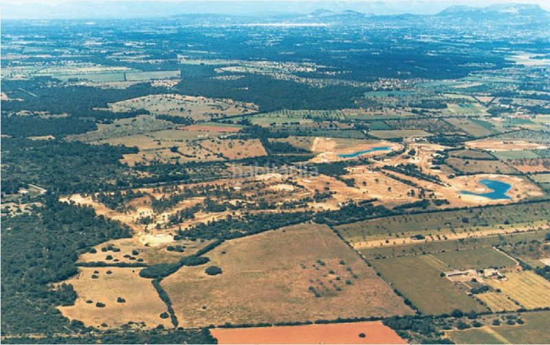 Foto 463a1da2-703c-47cd-9a3e-5ac3bac53da9. Finca rústica a Campos poble Campos