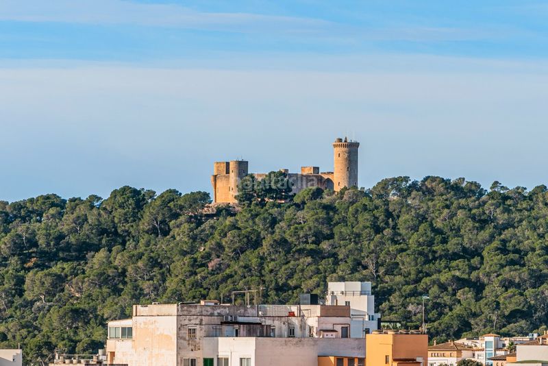 Foto b9d0ff2e-2650-49c1-afaa-97691ea9cbcc. Àtic amb aparcament a Santa Catalina Palma de Mallorca
