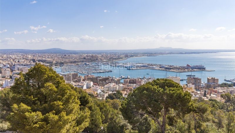 Foto 126a4253-6c8e-4863-89ff-18001b13f9a2. Àtic amb calefacció aparcament piscina a La Bonanova Palma de Mallorca