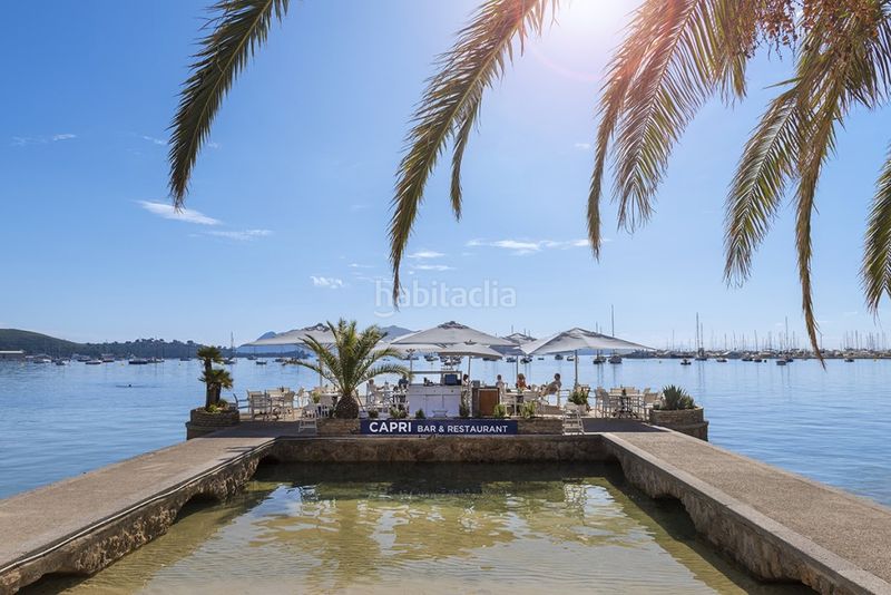 Foto db0d6e55-e6a1-472f-935a-0086f83f37a2. Apartament amb calefacció piscina a port de Pollença Pollença