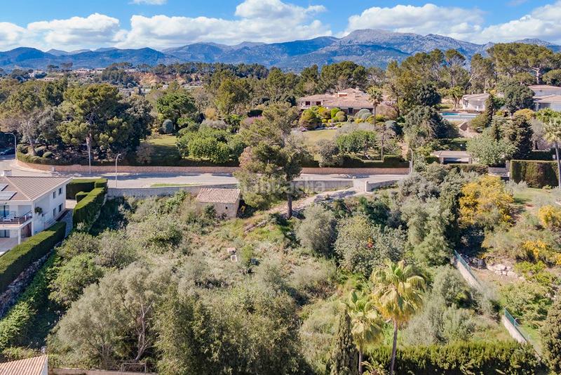 Foto 0fca4ab4-6fa6-4cc9-9403-3c9154177a5b. Fondo rustico in Son Amonda - Reis Catòlics Inca