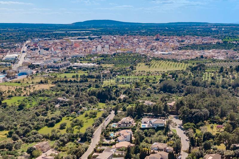 Foto 6b17afcb-9314-4713-a1ae-2a897b8bddd9. Fondo rustico in Son Amonda - Reis Catòlics Inca