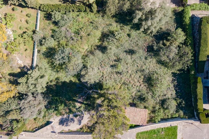 Foto c2badea3-6297-418d-a322-5eb47978d168. Fondo rustico in Son Amonda - Reis Catòlics Inca