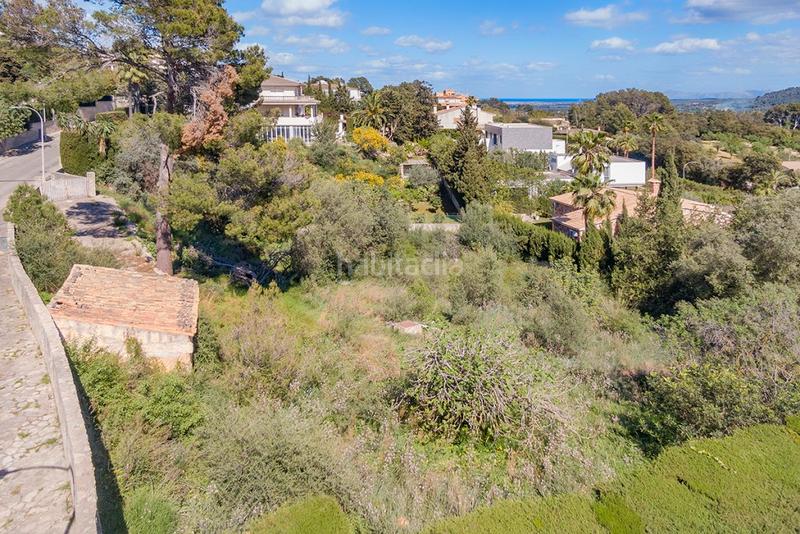 Foto c80ec7b1-663f-4004-a81e-710f3d4b79b5. Fondo rustico in Son Amonda - Reis Catòlics Inca