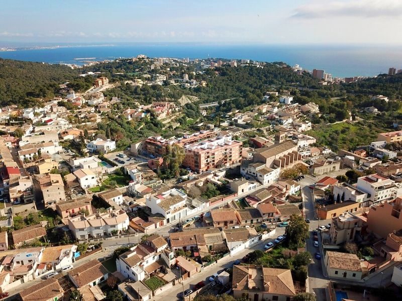 Foto 554b1fa0-8d89-4eda-96ff-317b9751ac67. Finca rústica a Gènova Palma de Mallorca