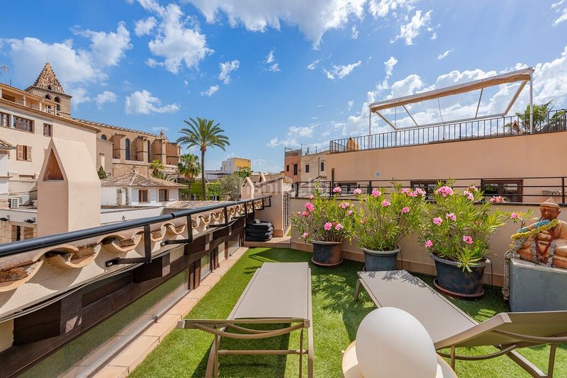 Foto cebb1c0f-bb2b-486d-a1e5-ca682216d0ac. Apartament amb calefacció a Es Puig de Sant Pere Palma de Mallorca
