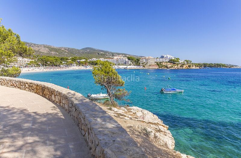 Foto b1fd0870-55cc-4089-a0d5-e59152eac8c9. Apartament amb calefacció aparcament piscina a Palmanova Calvià