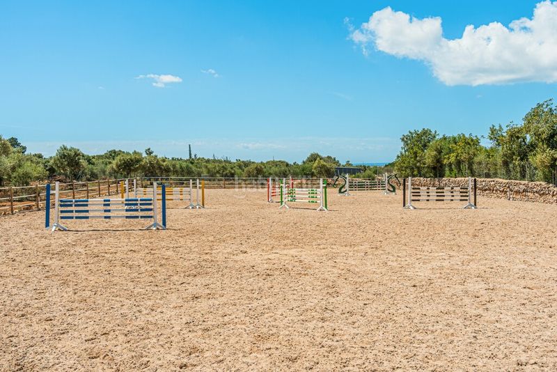 Foto 92876fb5-1624-4067-86fe-47060fc54321. Masia amb calefacció aparcament piscina a Alaró