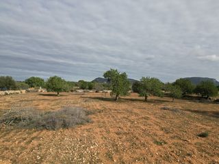 Finca rústica a Llucmajor Interior