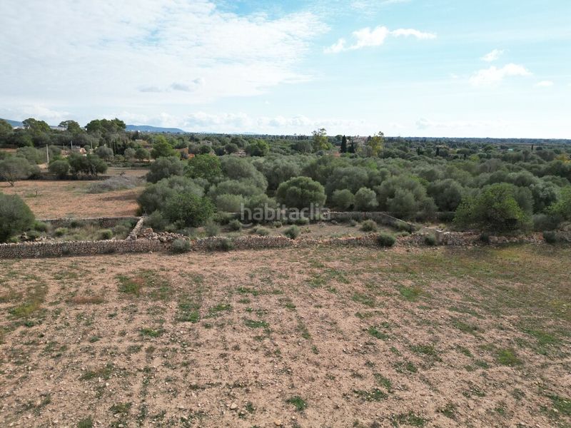 Foto eadd364b-0d21-4f7b-ab70-7f8dc8ed758c. Masia amb aparcament piscina a Llucmajor interior Llucmajor