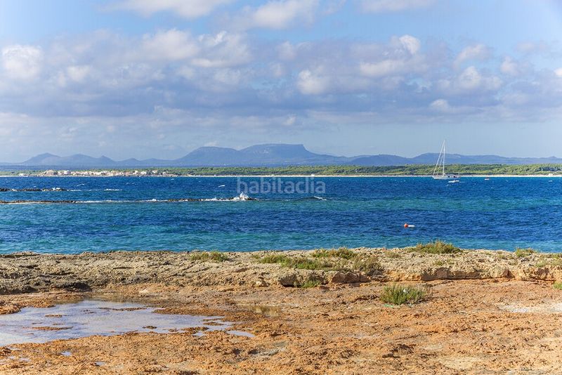 Foto c4b48613-5618-4720-8ea2-743961519ad8. Bauernhof mit parking pool in Ses Salines poble Ses Salines