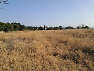 Fondo rustico in Sant Antoni de Portmany. Parcela rural para proyecto de villa cerca de san rafael, ibiza