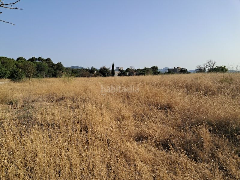 Foto a40424a7-3a11-4cc4-a745-9ce04b6c2c82. Finca rústica a Sant Antoni de Portmany