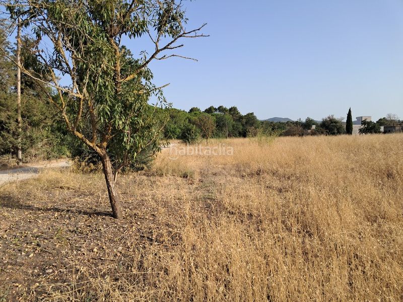 Foto bca25349-3588-4d14-937d-3b918a007be3. Finca rústica a Sant Antoni de Portmany