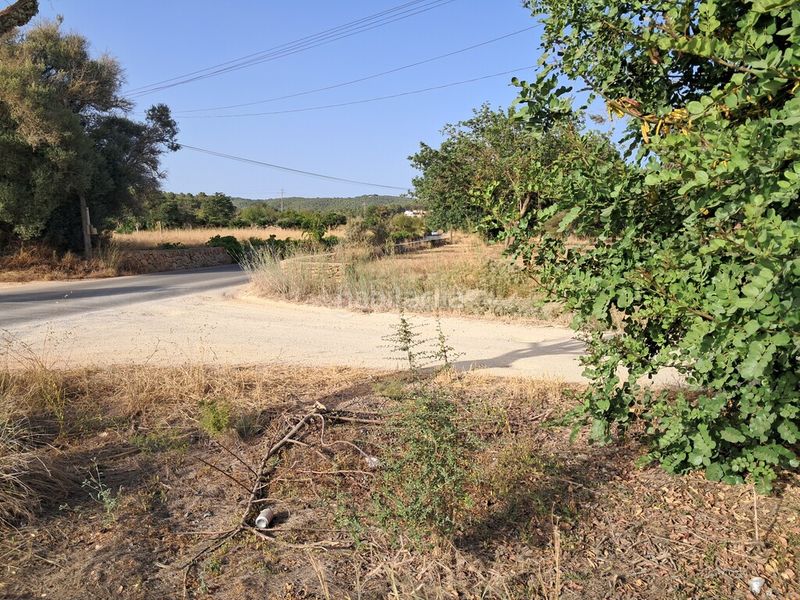 Foto f76b9ac7-6282-4062-b356-d744bbbb5424. Finca rústica a Sant Antoni de Portmany