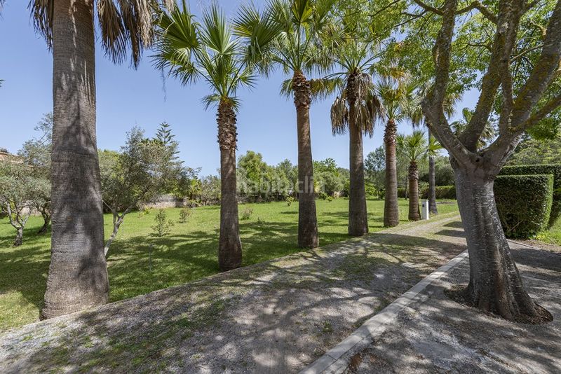 Foto e4c2e5ff-d7fd-4396-aa10-ef6700216c0e. Masia amb aparcament piscina a Pollença poble Pollença