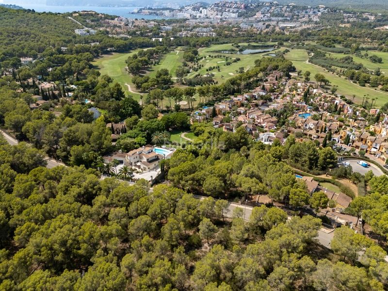 Foto f584a38f-45fd-48d6-a4f3-ab0e94813693. Finca rústica a Santa Ponça Calvià
