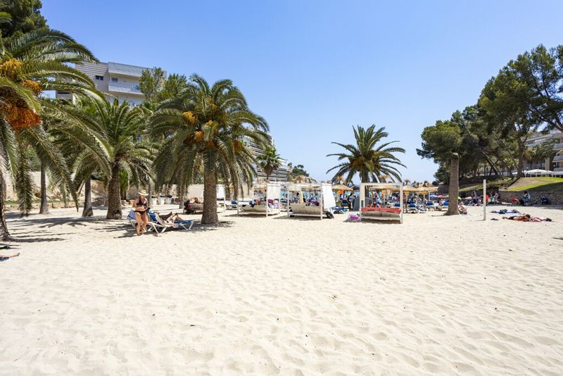 Foto cd94c2fc-8f0a-4721-9679-213b90ee9978. Xalet amb calefacció aparcament piscina a Cala Vinyes Calvià