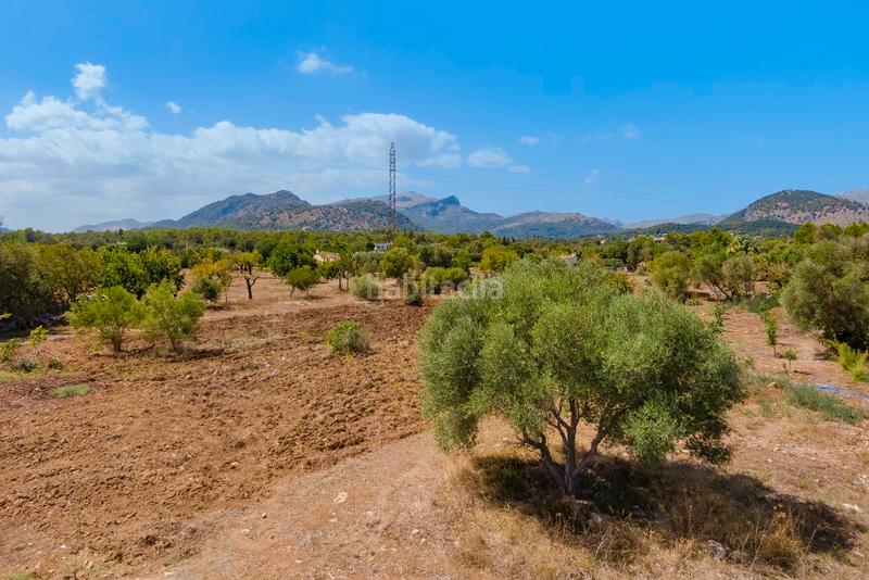 Foto 481b0979-3dff-4f79-8527-2fe7469994f5. Finca rústica a Pollença poble Pollença