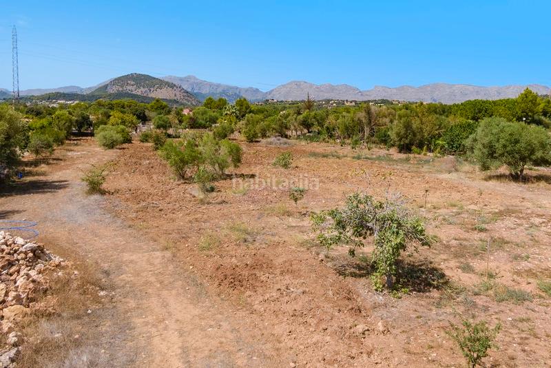 Foto afaa6620-fbe1-4293-840a-7e81a3ab1966. Finca rústica a Pollença poble Pollença