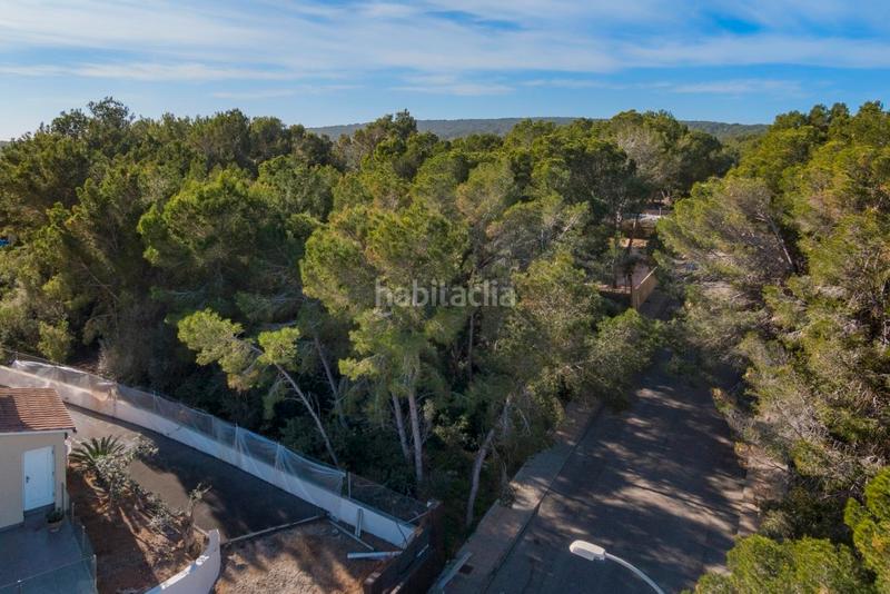 Foto 0c6916e0-62e6-4024-8853-81698f01dc38. Rural plot in Sol de Mallorca Calvià
