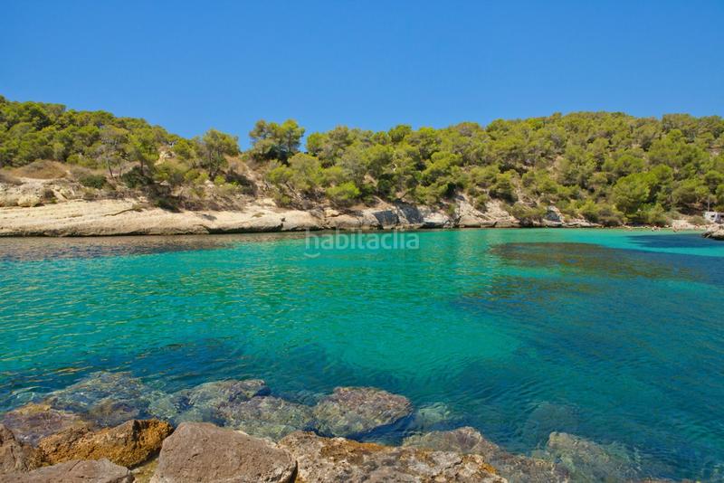 Foto bb0c5ff8-2c49-43be-97bf-8be0f8de4ac0. Rural plot in Sol de Mallorca Calvià