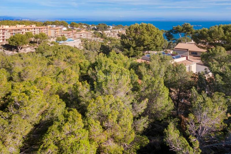 Foto ca907077-5eca-4e49-8a60-877f5dd5f953. Rural plot in Sol de Mallorca Calvià