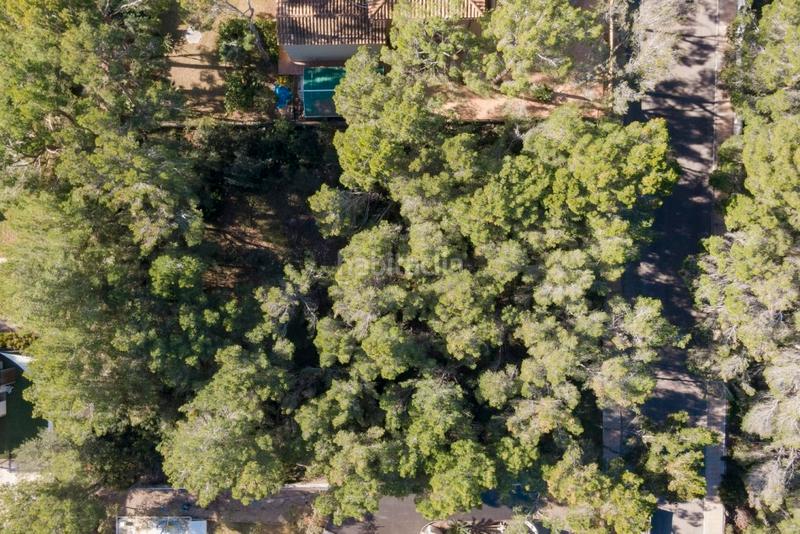 Foto cf3652ee-6629-43ca-8363-f3eac8125990. Rural plot in Sol de Mallorca Calvià