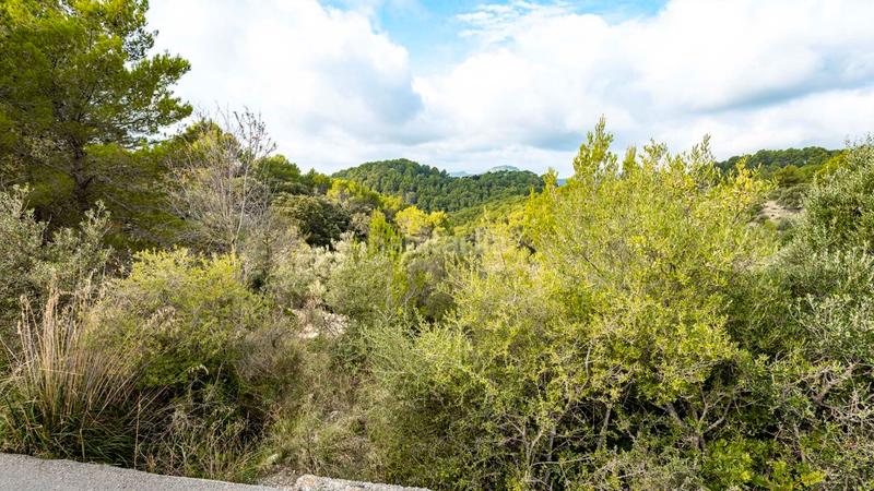 Foto 1083cf44-e427-484d-b576-e7634ebc2040. Landgut in Puigpunyent