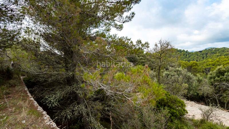 Foto 2acb7c0a-6b57-4671-8246-538b8e4aca41. Landgut in Puigpunyent